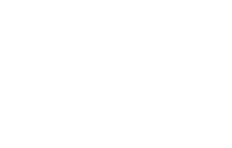 logo's svg standard